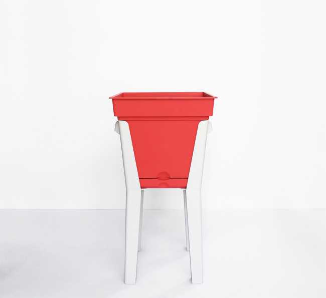 Orto domestico progetto di design