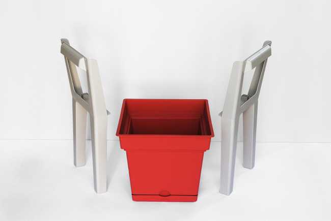 Orto domestico progetto di design composizione