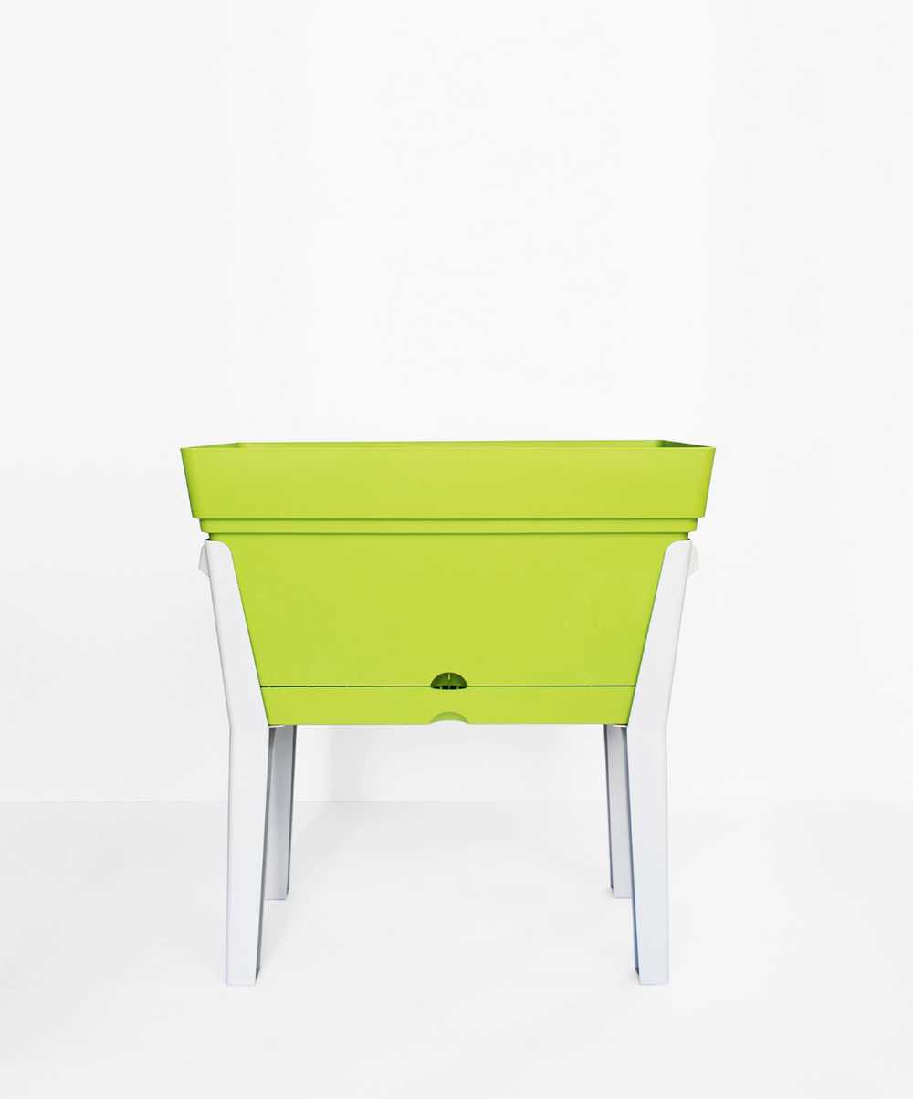 Orto domestico render