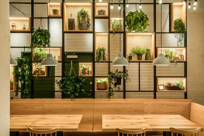 Seats and tables in light wood