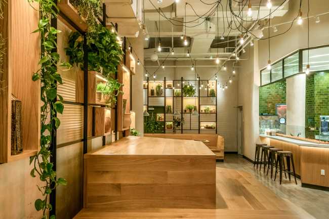 Suspended lighting, indoor plants and warm wood furniture