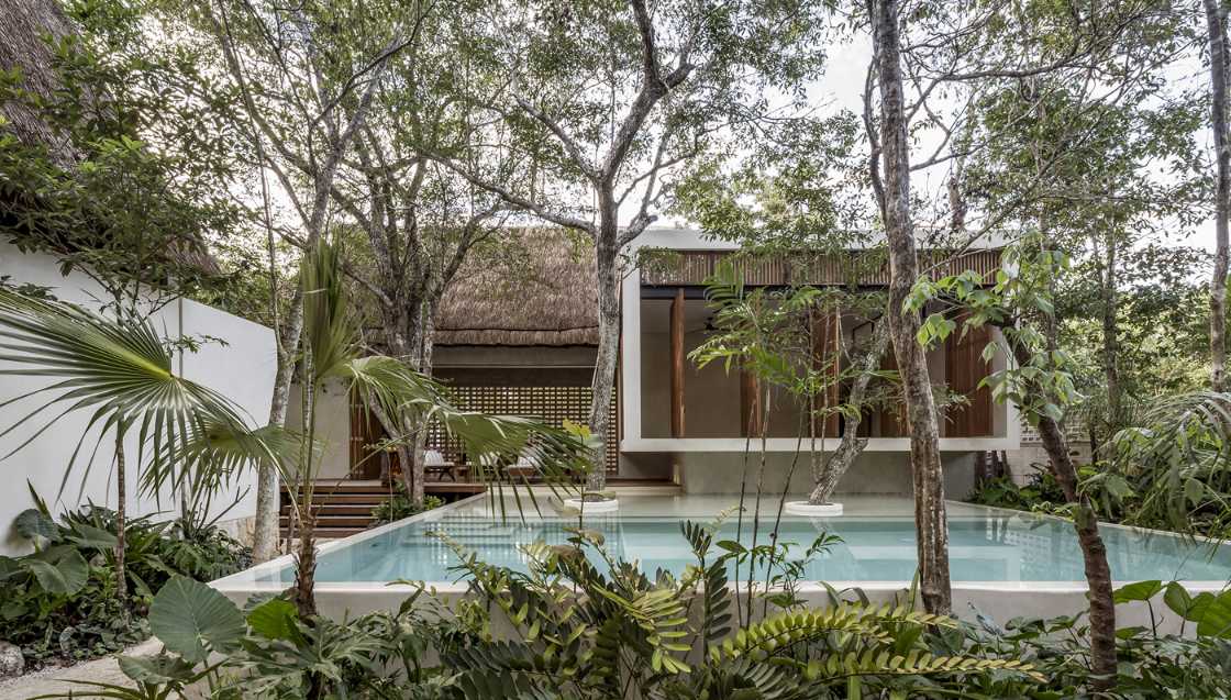 hotel among the trees with swimming pool