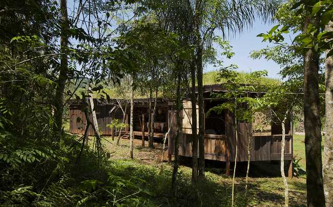Edificio de madera escondido entre los árboles