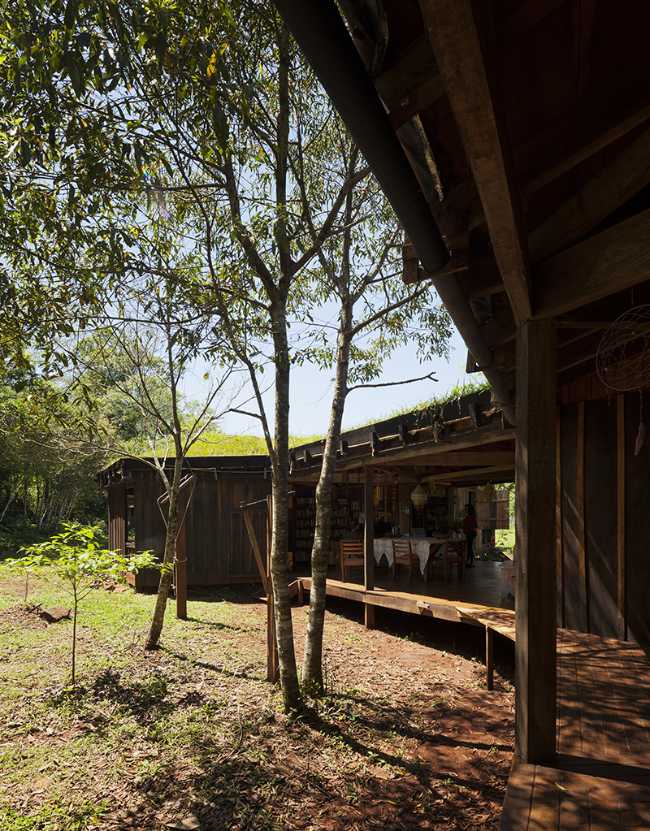 Edificio de madera con árboles