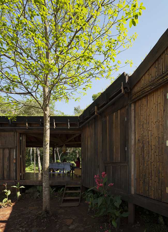 Árbol en un patio interior