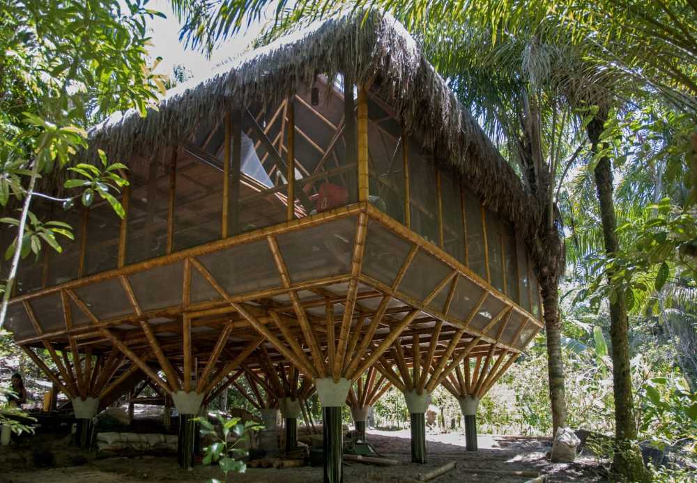 Wooden hostel in the jungle