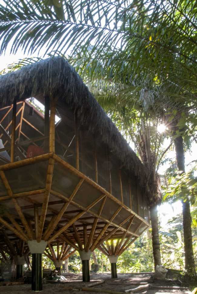 Wooden hostel in the jungle