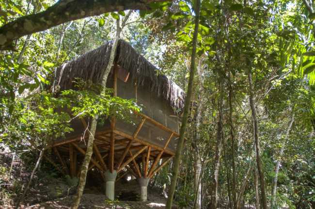Hostel among the trees