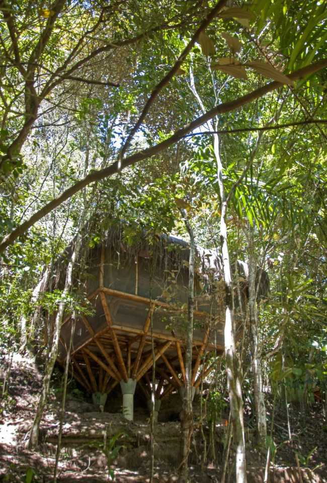 Hostel on a slope among the trees