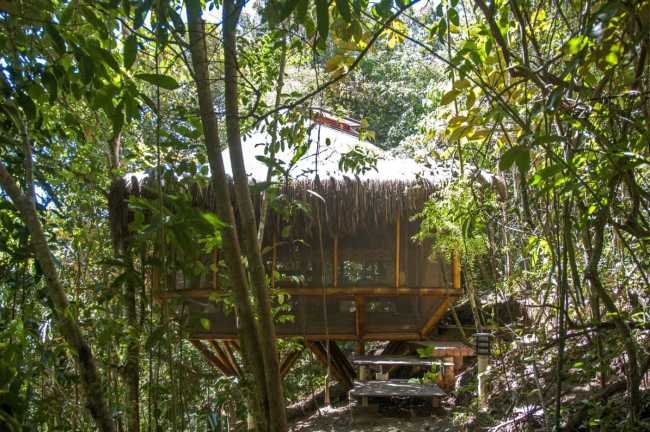 Hostel on a slope among the trees