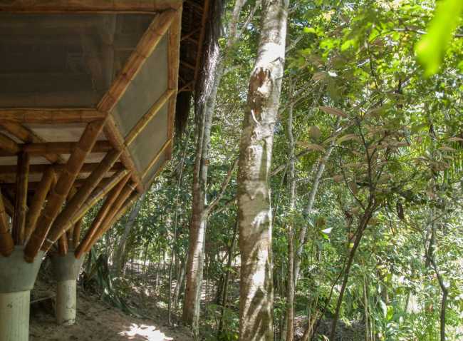Hostel detail in the forest