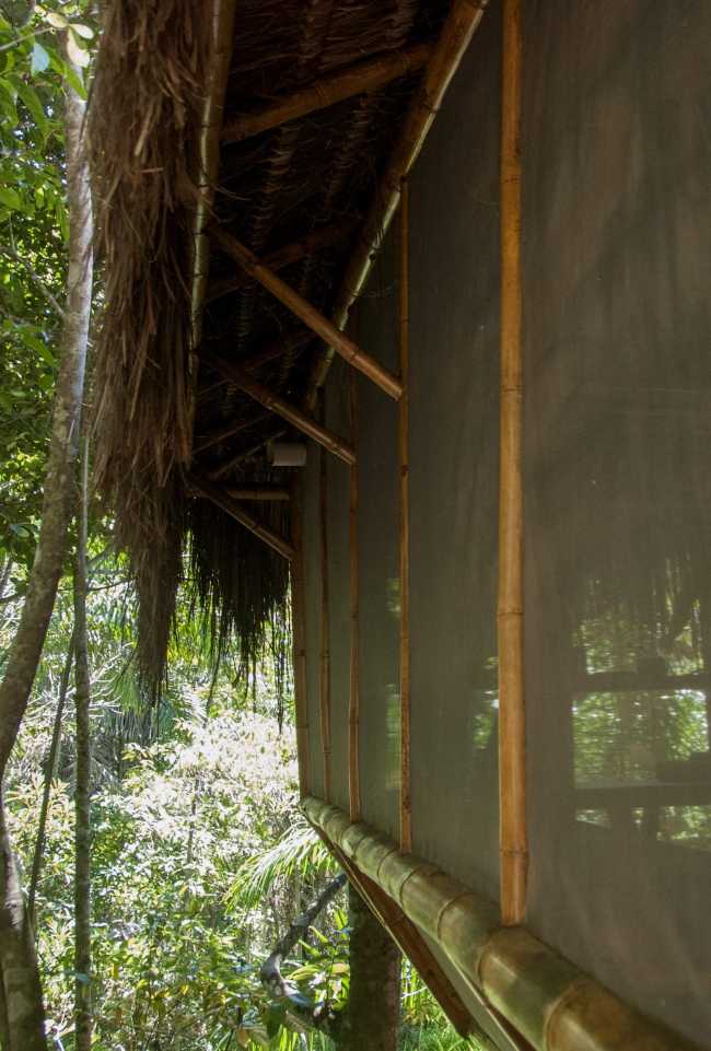 Wooden hostel among the trees