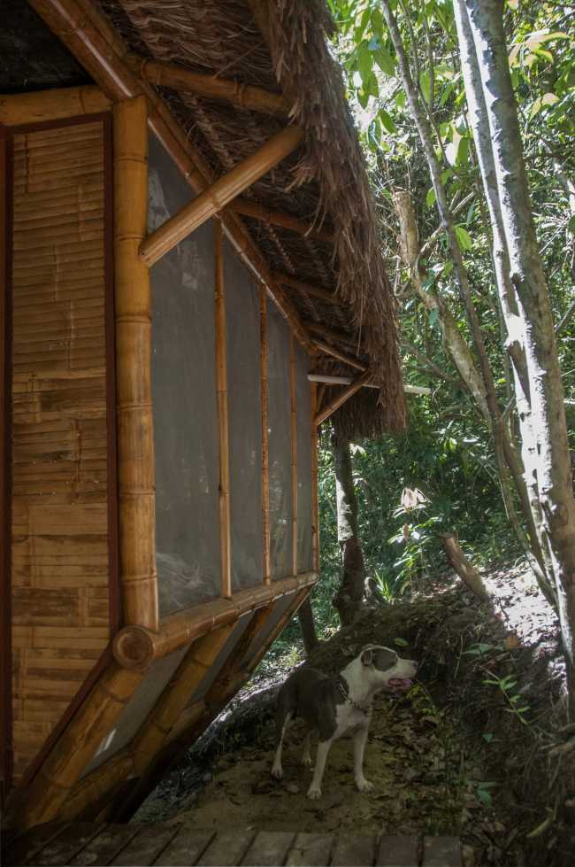 Wooden hostel among the trees