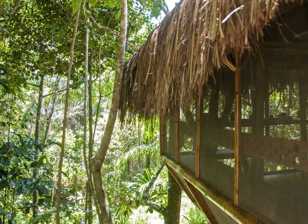 Albergue sobre pilares de madera