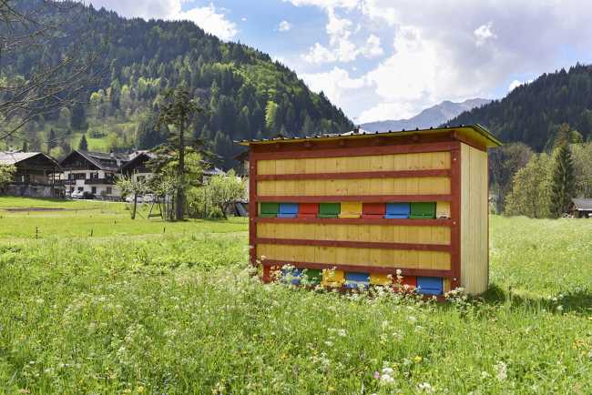 Microstructure for bees