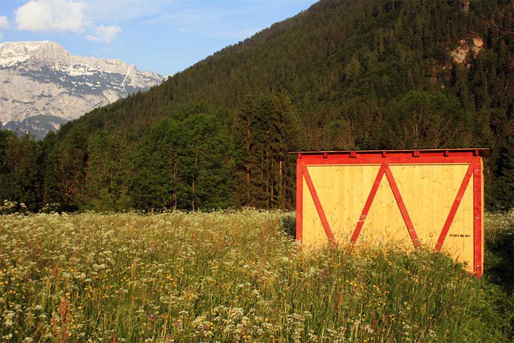 Struttura in legno per api
