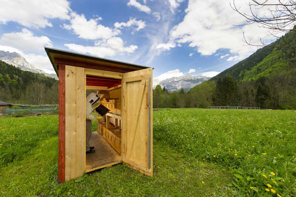 Struttura in legno per api