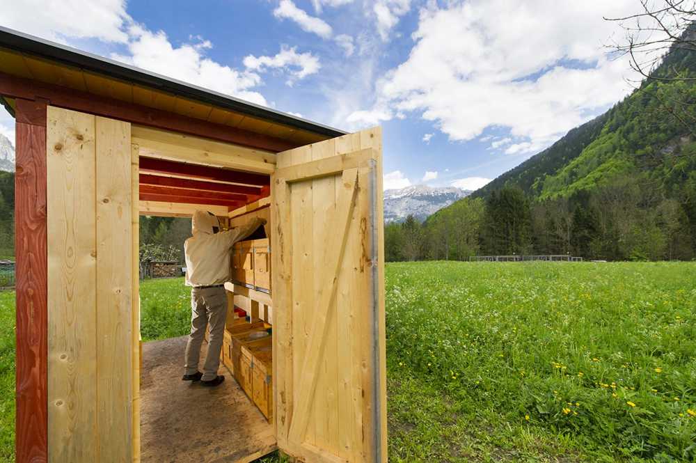 Struttura in legno per api
