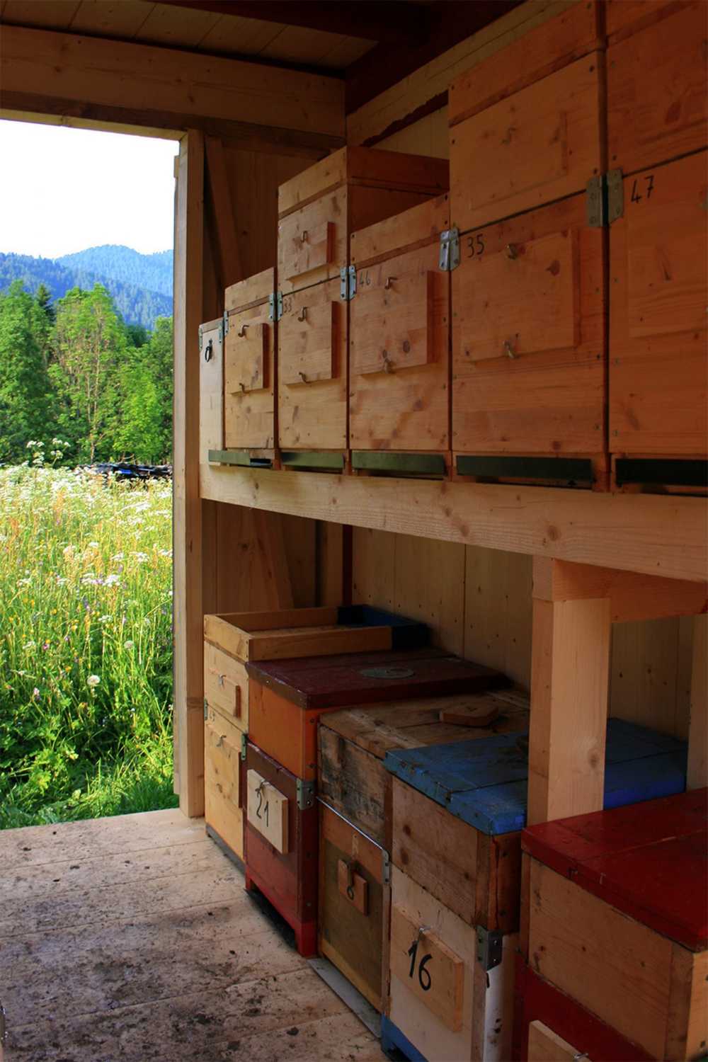 Struttura in legno per api
