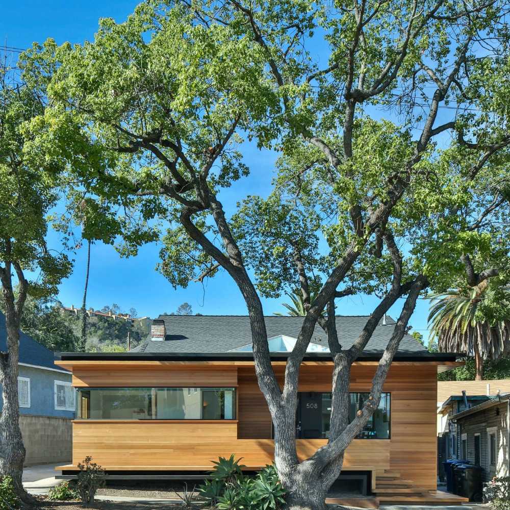 Bungalows de madera clara cerca de los árboles