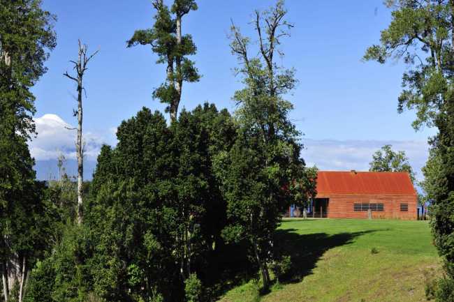 Wooden house among the trees