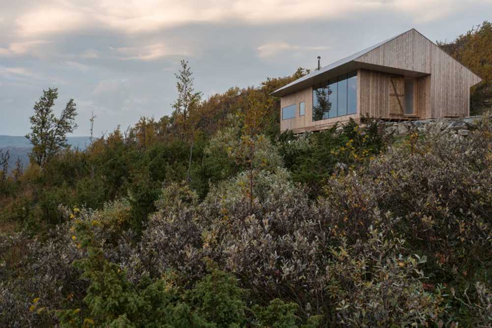 Casa in legno di pino tra gli alberi