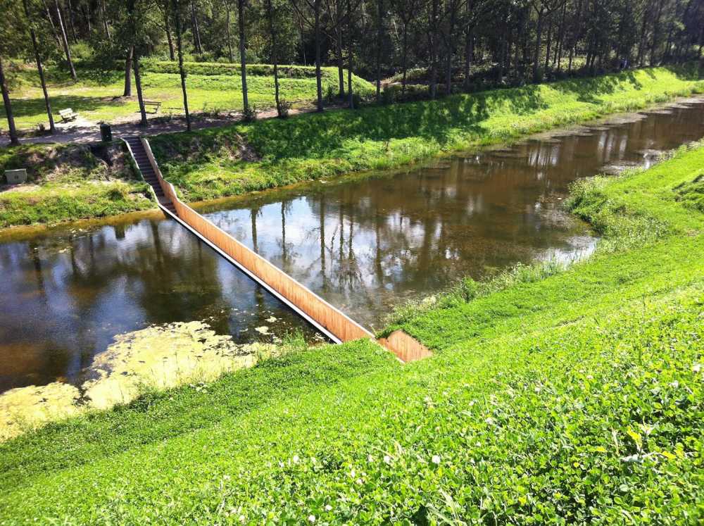 Ponte in legno immerso nell'acqua