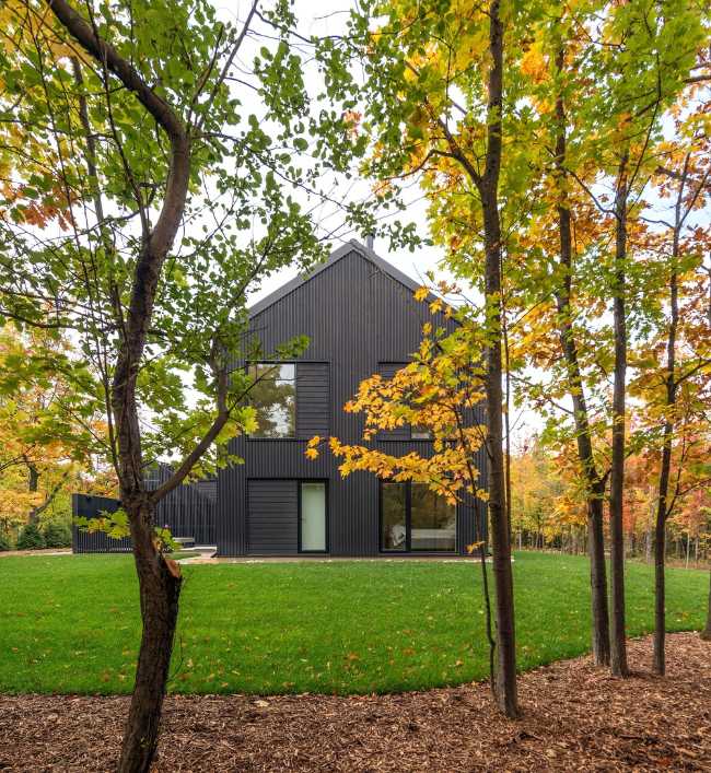 Chalet among the trees
