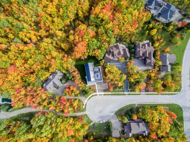 Colorful autumn trees seen from above