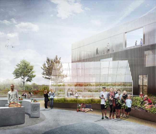 Vegetable garden of a wooden school