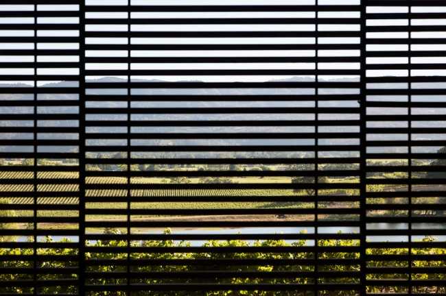 Wooden slats filtering the landscape view