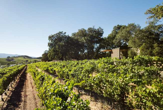 Wooden pavilion among vineyards