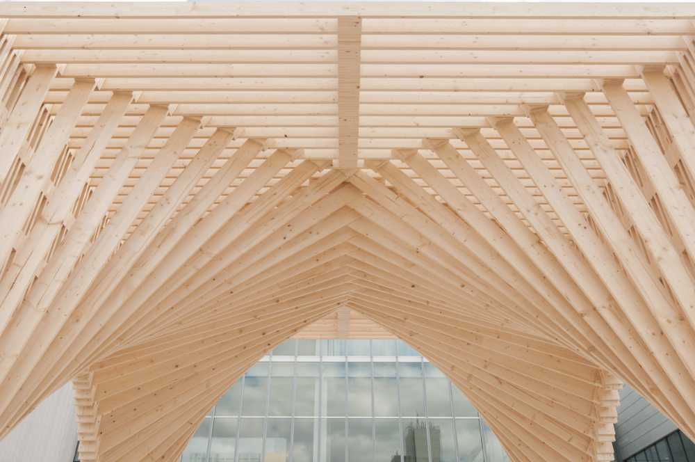 Struttura tridimensionale a forma di arco