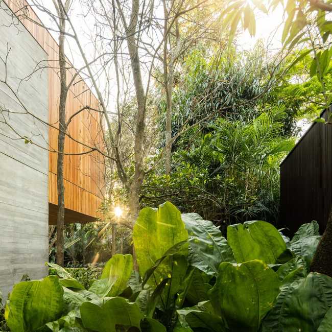 Villa parmi la végétation