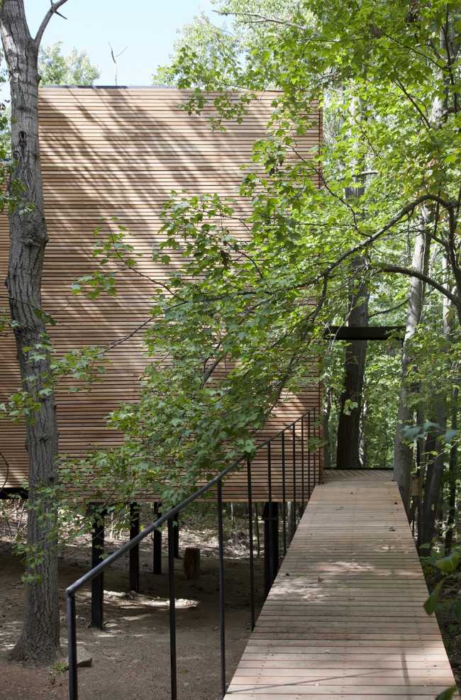 Vivienda de madera y acero en el bosque