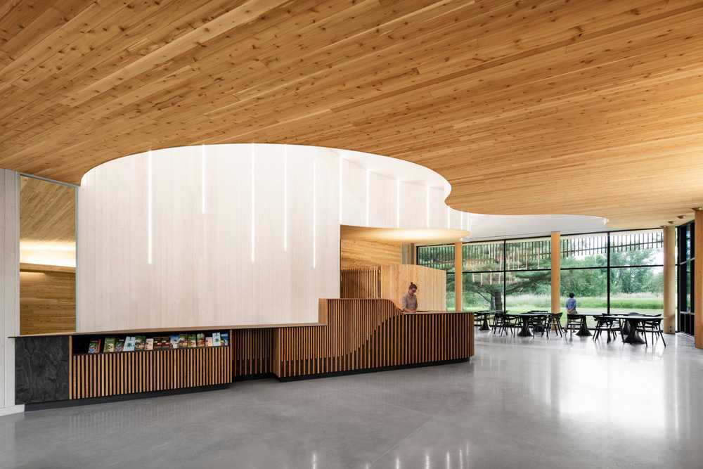 Organic architecture covered in wood