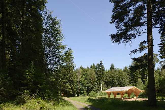 Wooden pavilion in the forest