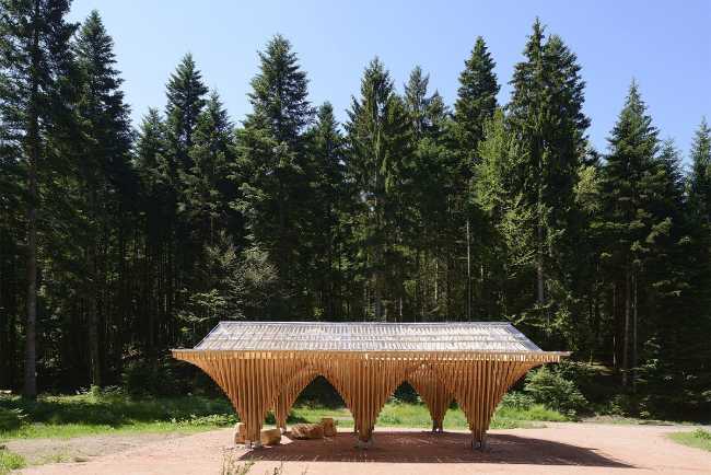 Shelter for hikers and visitors in wood