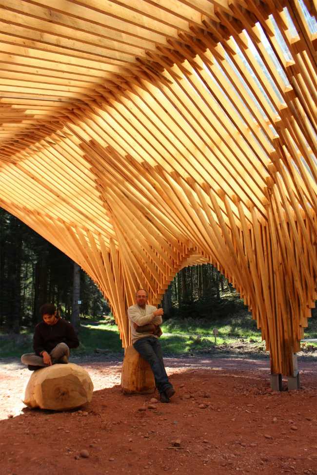 Wooden meeting point in the forest