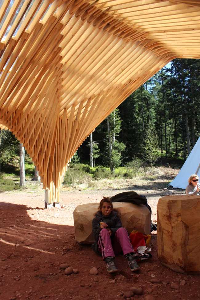 Wooden meeting point in the forest