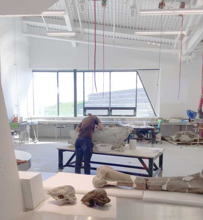 dinosaur museum workshop