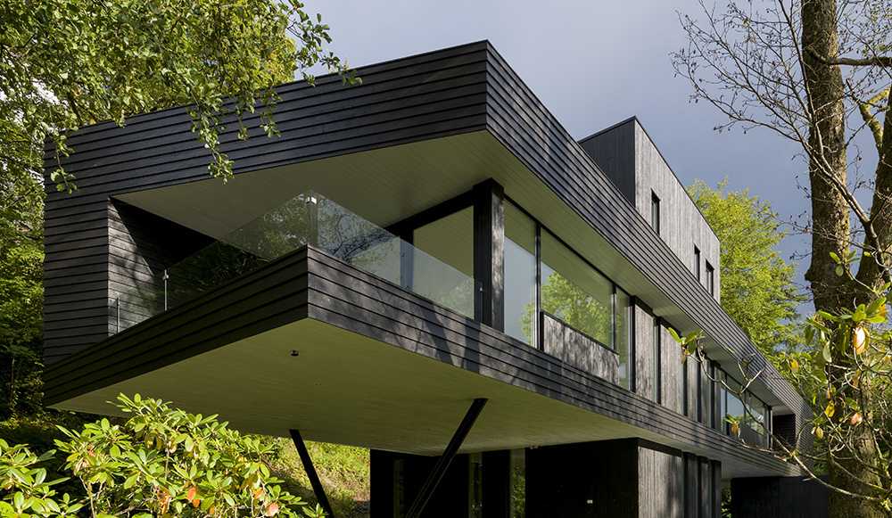 Wooden house floating in the trees