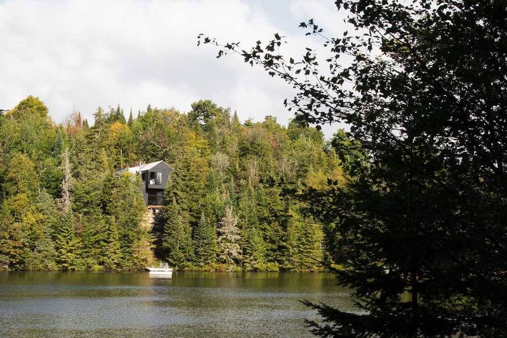 Wood and lake