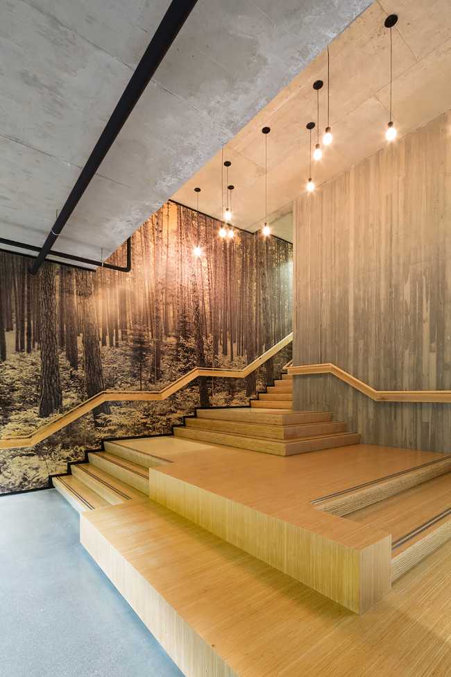 Wooden interiors for offices with modern lighting