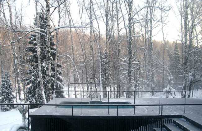 terrace among the trees