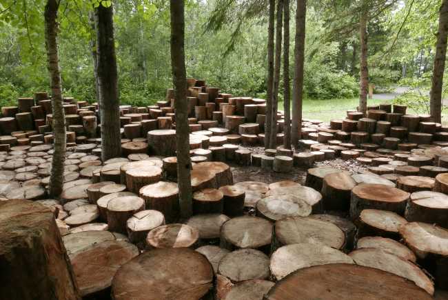 Installazione con tronchi di legno