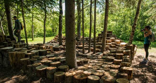 Installazione con tronchi di legno