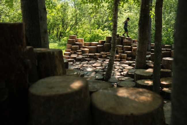 Installazione con tronchi di legno
