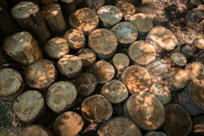 Installazione con tronchi di legno