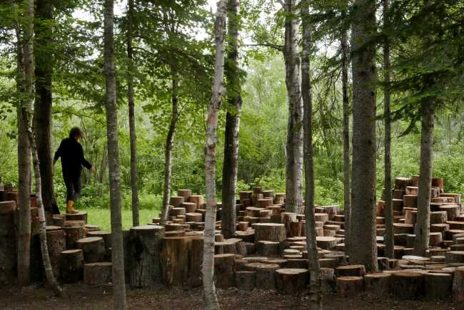 Installazione con tronchi di legno